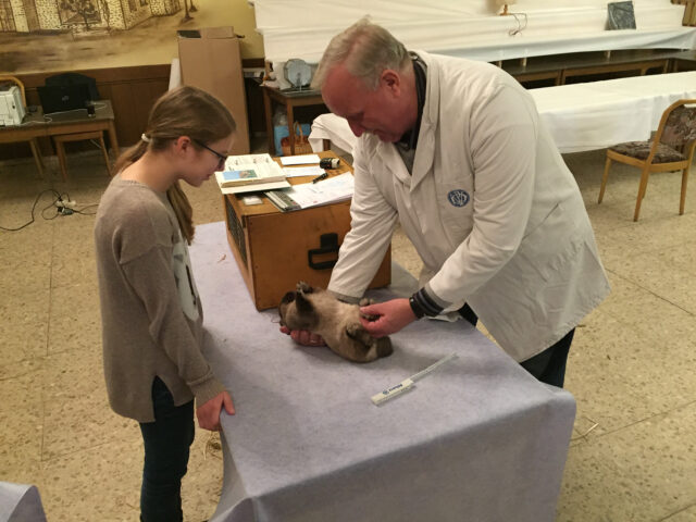 W2-Ahaus-Lokalschau2017-17 Johann Vrielink erklärt unserer Jungzüchterin Juliana Honekamp die Tischbewertung.