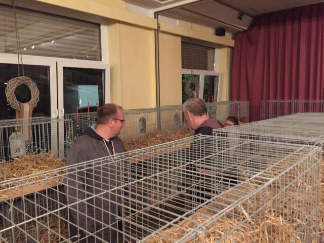 W2-Ahaus-Lokalschau2017-2 Manfred Keller und Andreas Bertelmann besprechen die nächsten Arbeitsschritte.