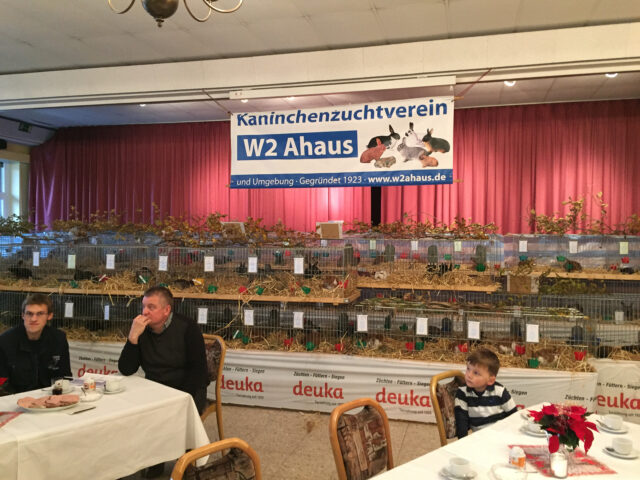 W2-Ahaus-Lokalschau2017-25 Ein Blick in unsere Ausstellung.