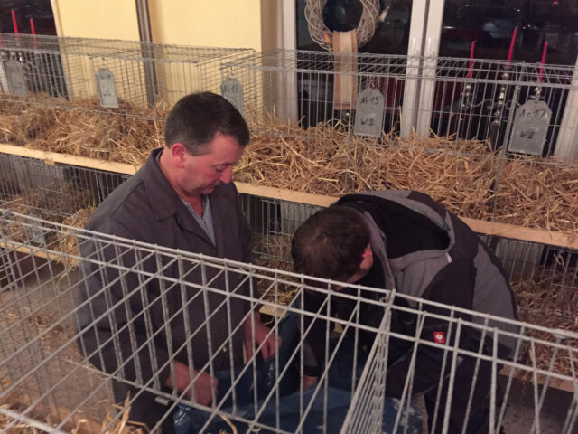 W2-Ahaus-Lokalschau2017-3 Ingo Wensing und Marc Beckmann.