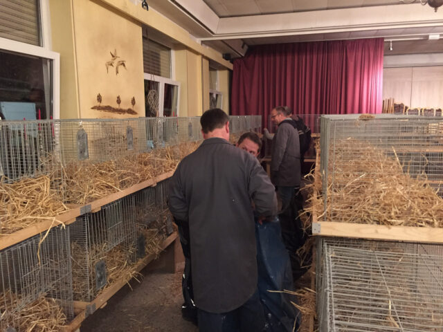 W2-Ahaus-Lokalschau2017-4 Der Aufbau schreitet voran.