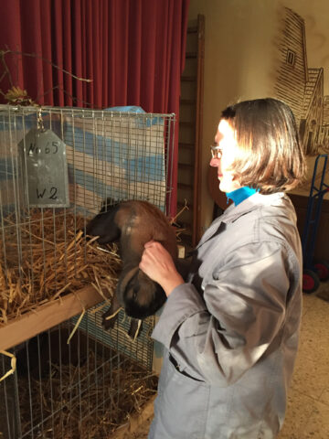 W2-Ahaus-Lokalschau2017-8 Miriam van Weyck beim Zutragen.