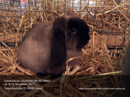 Lokalschau Kaninchenzuchtverein W2 Ahaus